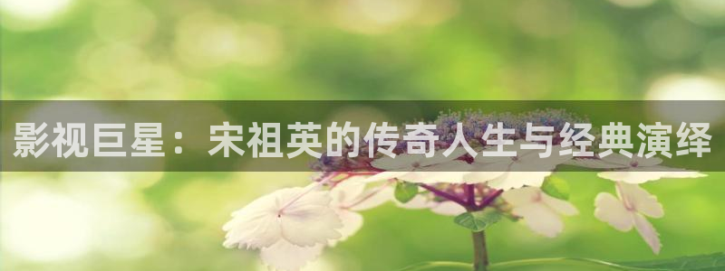 紅葉電影院今日影訊：影視巨星：宋祖英的傳奇人生與經(jīng)典演繹