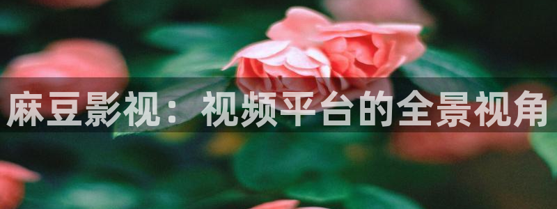 紅葉影視