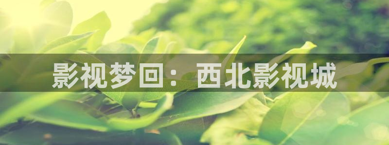 六安紅葉影城電影：影視夢回：西北影視城